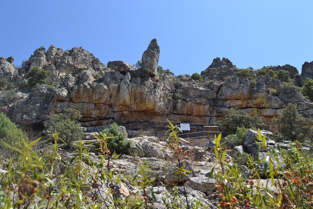 Apartamentos La Venta Del Charco Cardeña Buitenkant foto