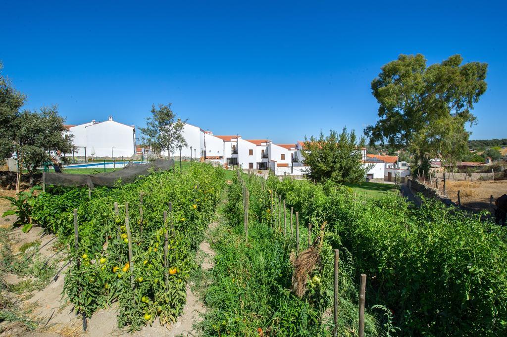 Apartamentos La Venta Del Charco Cardeña Buitenkant foto